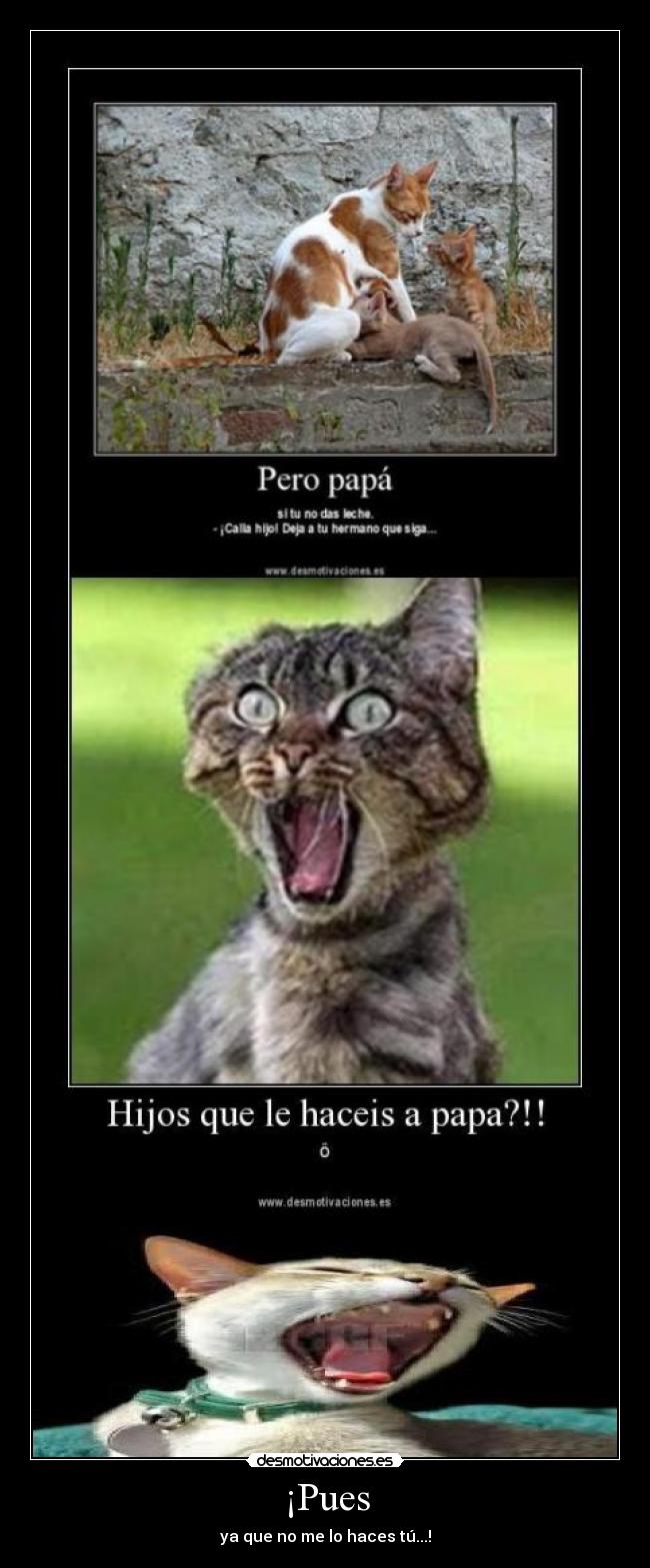 ¡Pues - ya que no me lo haces tú...!