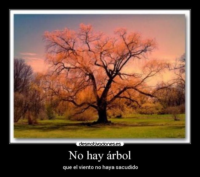 No hay árbol - que el viento no haya sacudido