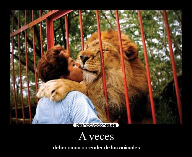 A veces -