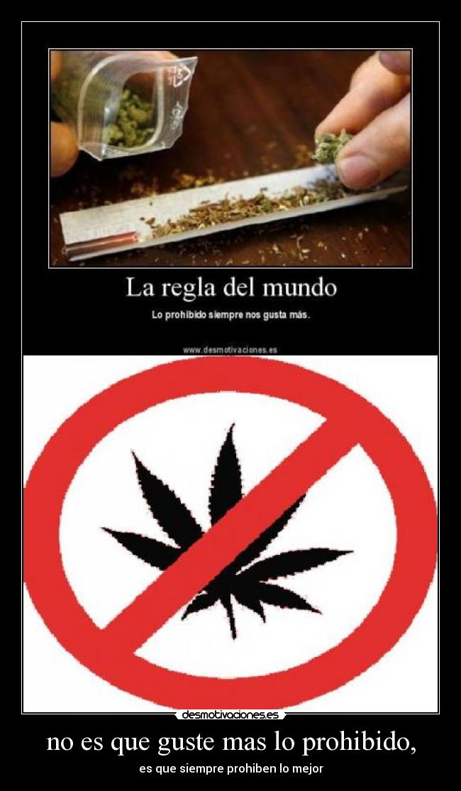 no es que guste mas lo prohibido, - es que siempre prohiben lo mejor