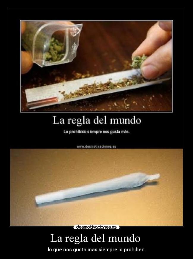 La regla del mundo -