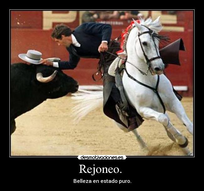 Rejoneo. -