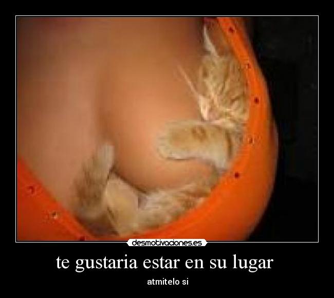 te gustaria estar en su lugar - atmitelo si