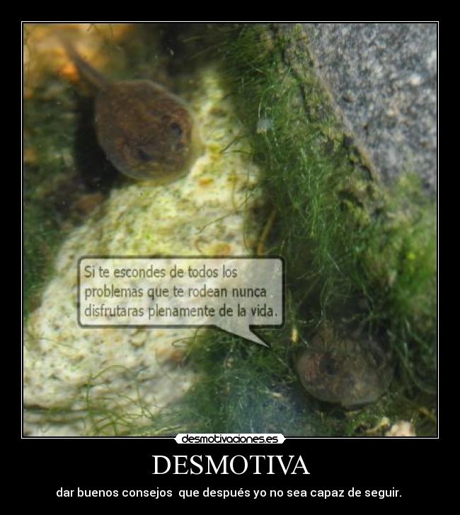 DESMOTIVA - dar buenos consejos que después yo no sea capaz de seguir.