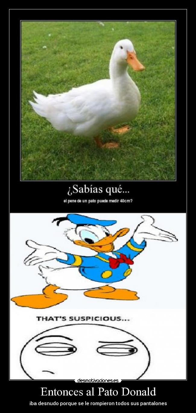 Entonces al Pato Donald - iba desnudo porque se le rompieron todos sus pantalones