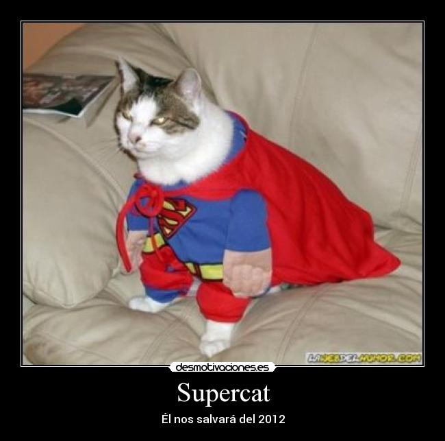 Supercat - 