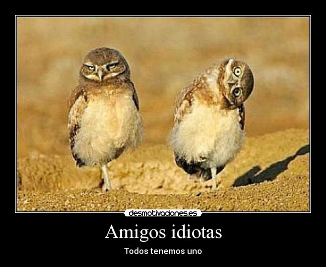 Amigos idiotas -