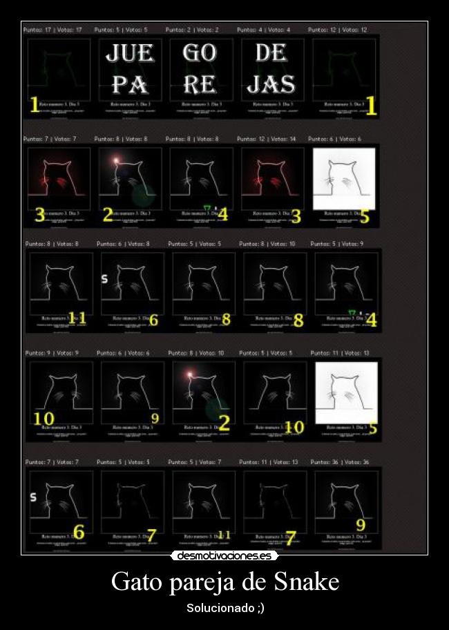 carteles gatospareja snake jsutin bieber desmotivaciones