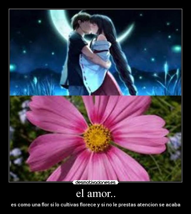 el amor.. - es como una flor si lo cultivas florece y si no le prestas atencion se acaba