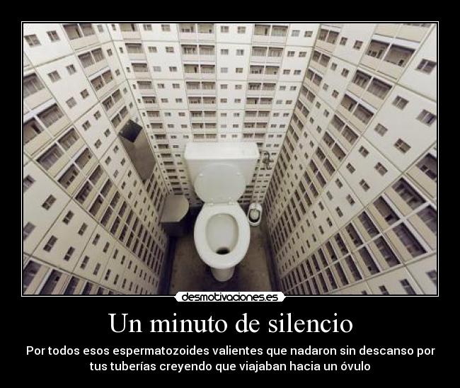 Un minuto de silencio - Por todos esos espermatozoides valientes que nadaron sin descanso por
tus tuberías creyendo que viajaban hacia un óvulo