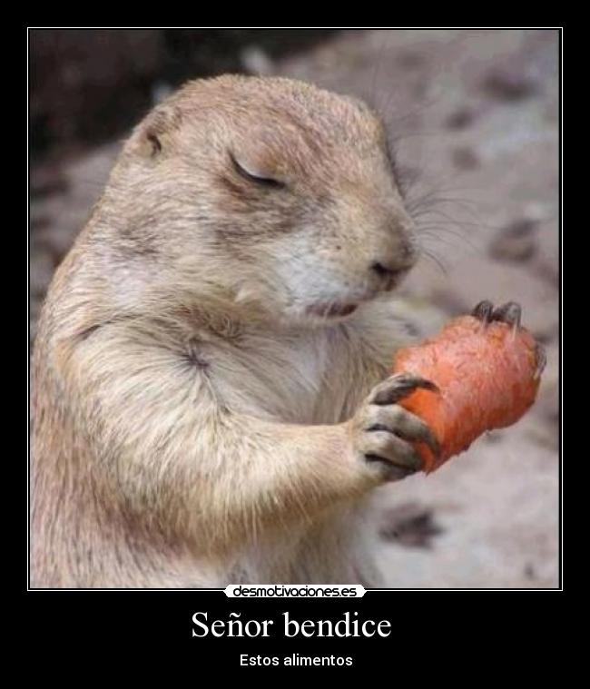 Señor bendice -