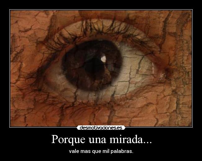 carteles porque una mirada desmotivaciones