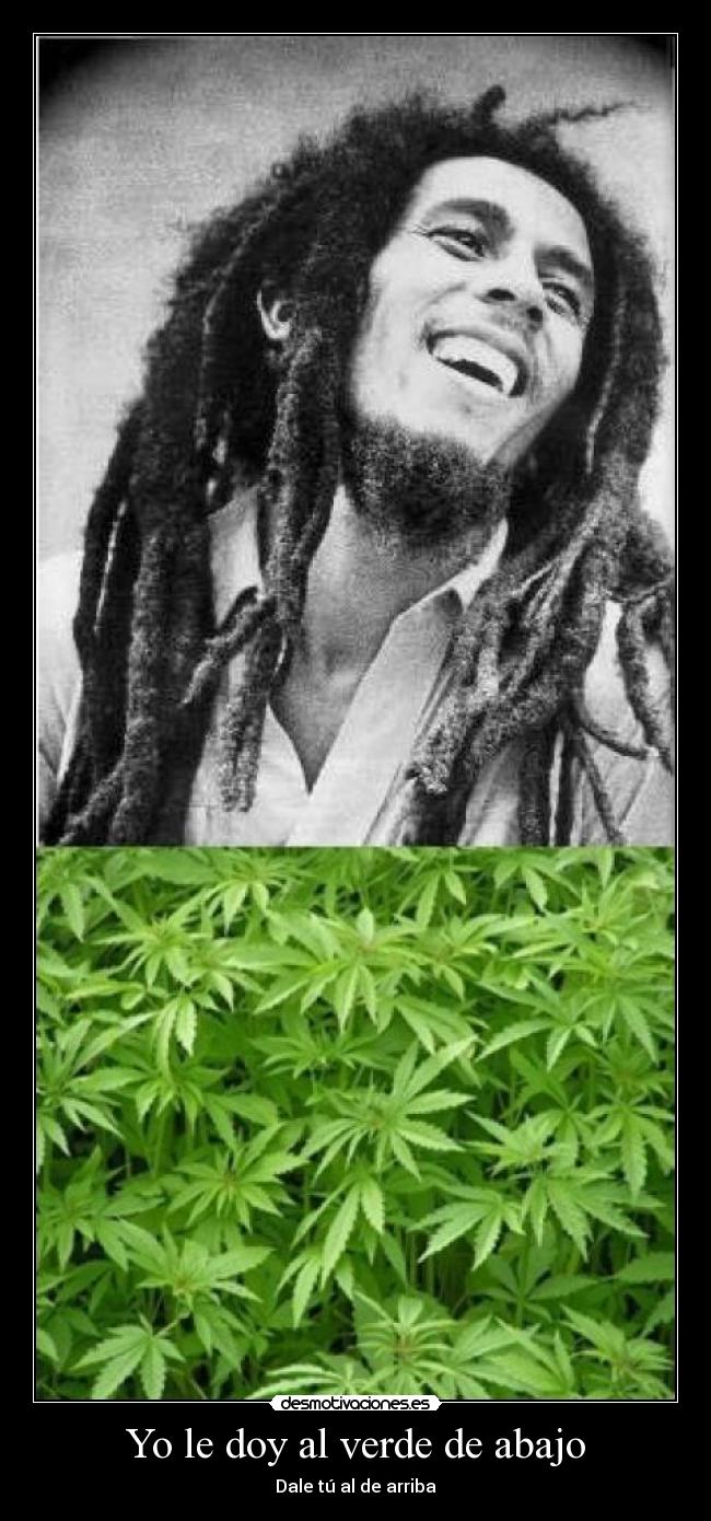 Yo le doy al verde de abajo - 