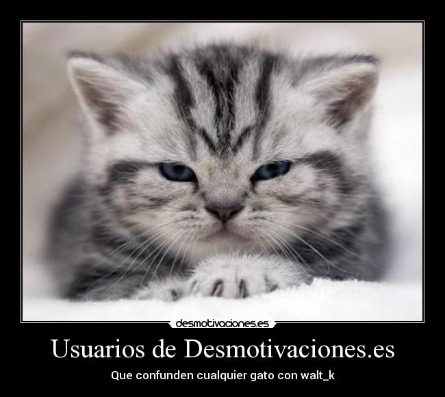 Usuarios de Desmotivaciones.es - 