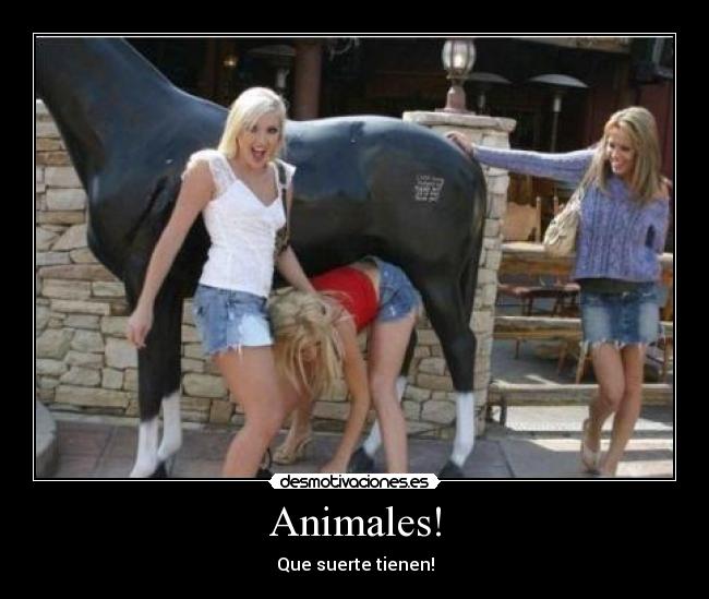 Animales! - Que suerte tienen!