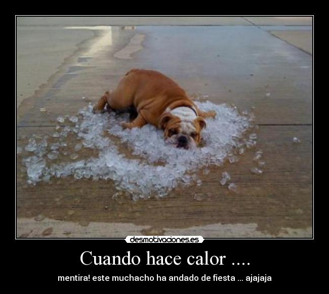 Cuando hace calor .... -
