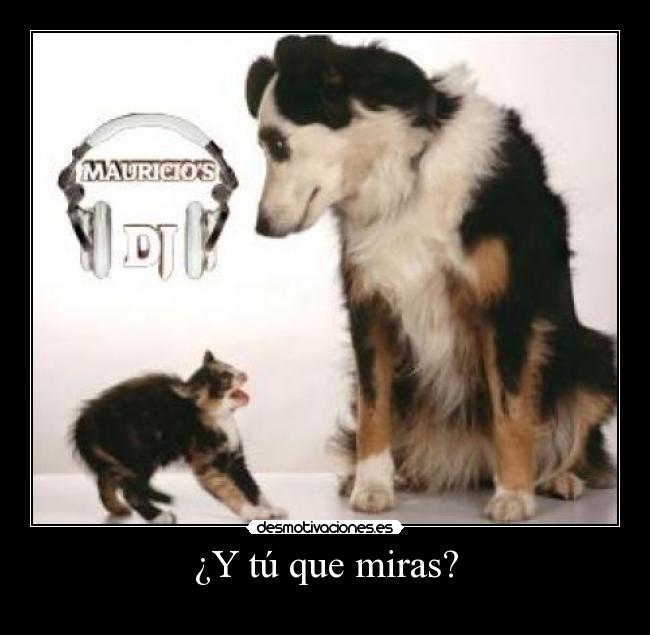 ¿Y tú que miras? -