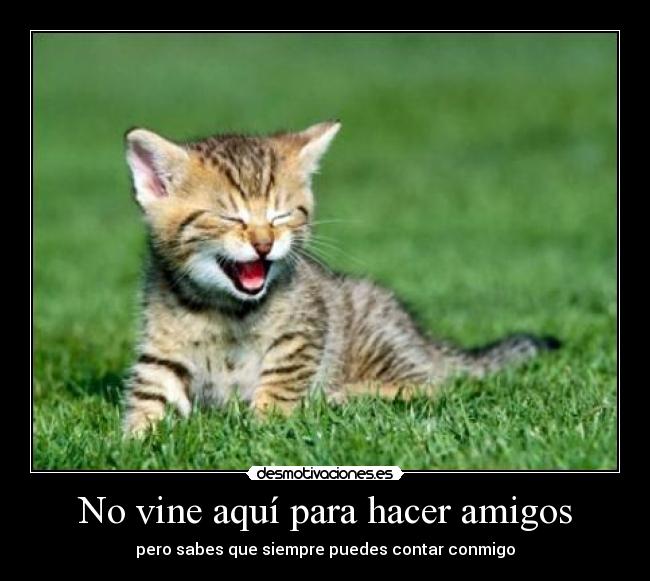 No vine aquí para hacer amigos -
