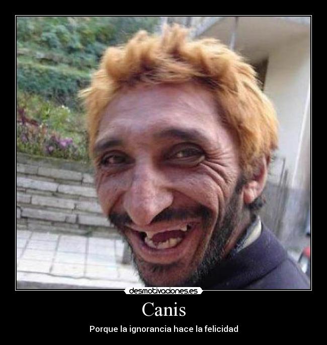 Canis - Porque la ignorancia hace la felicidad