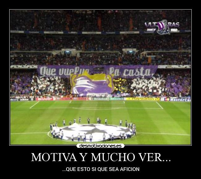 MOTIVA Y MUCHO VER... -