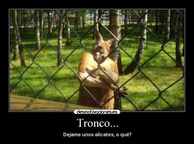 Tronco... -