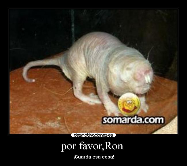 carteles rufus desmotivaciones