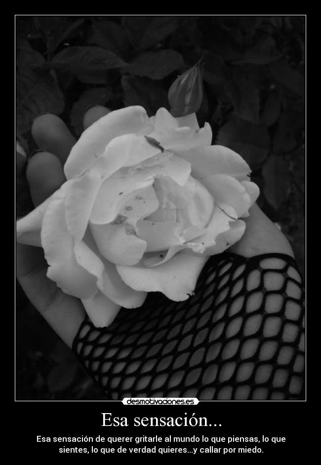 Esa sensación... - 