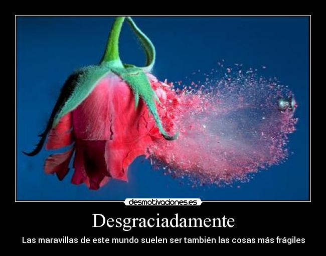 Desgraciadamente - Las maravillas de este mundo suelen ser también las cosas más frágiles