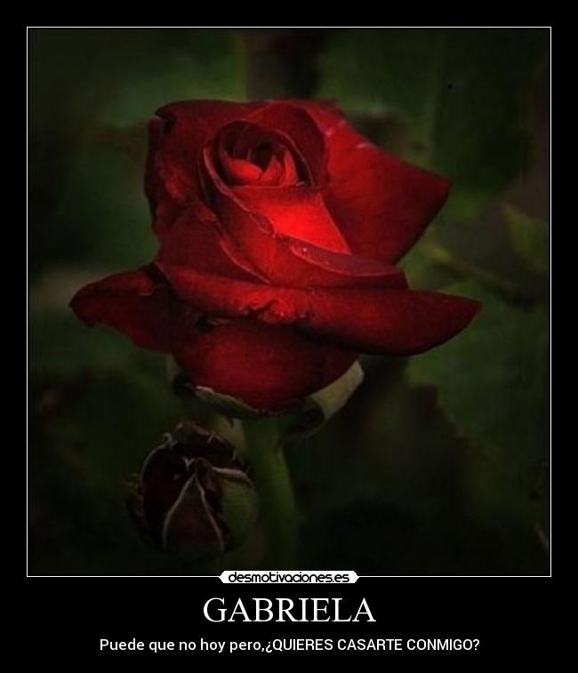 GABRIELA -