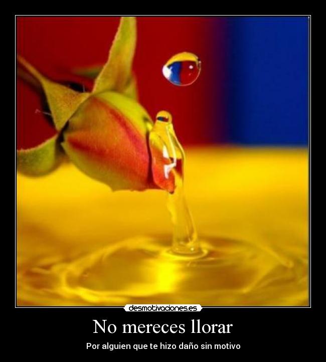 No mereces llorar - 
