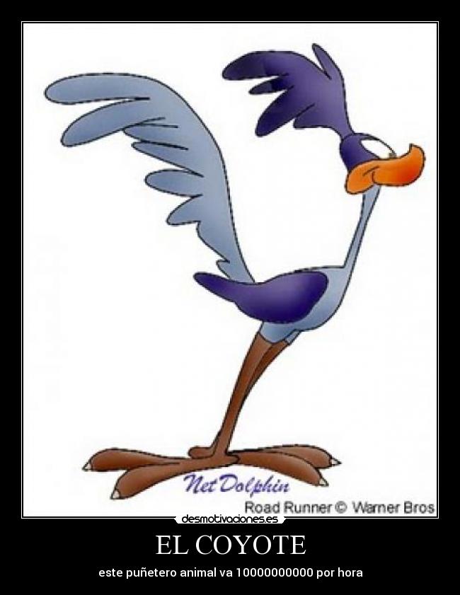 EL COYOTE - este puñetero animal va 10000000000 por hora