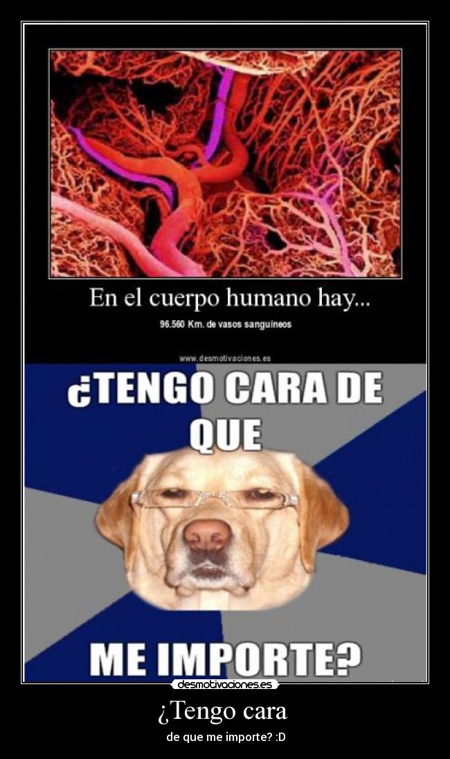 ¿Tengo cara  - de que me importe? :D