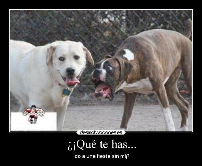 ¿¡Qué te has... -