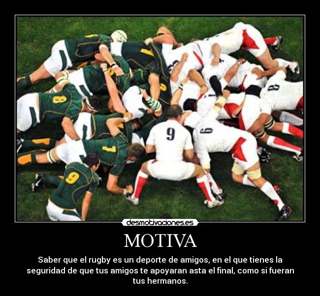 MOTIVA - 