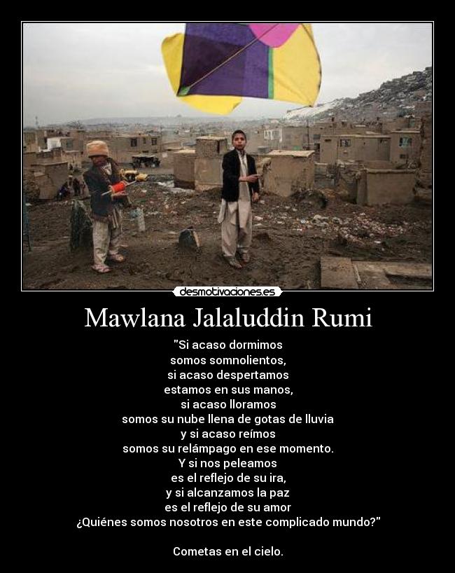 carteles rumi desmotivaciones