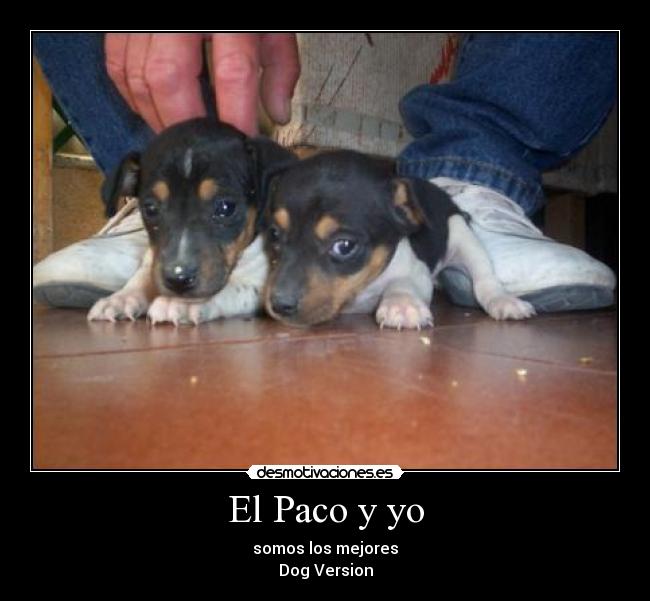 El Paco y yo - somos los mejores
Dog Version