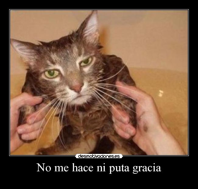carteles desmotivaciones
