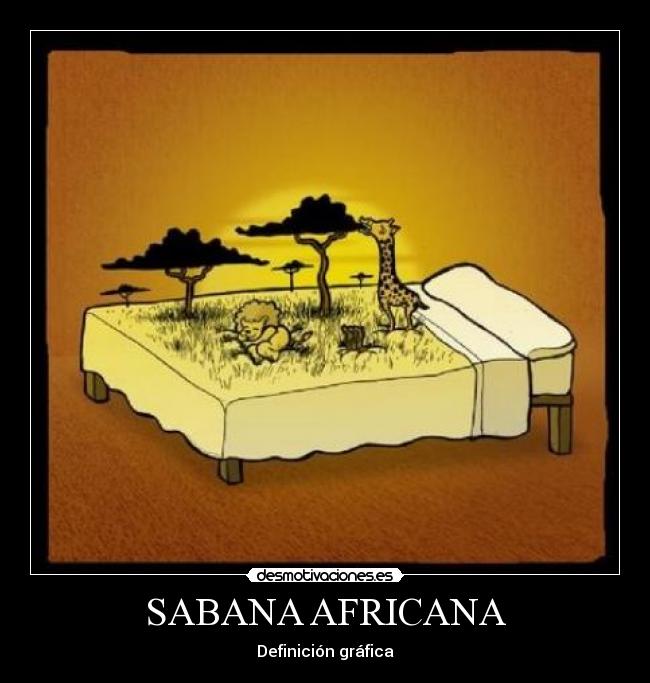 SABANA AFRICANA - Definición gráfica