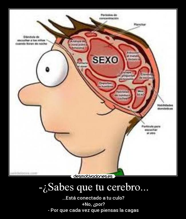 -¿Sabes que tu cerebro... - ...Está conectado a tu culo?
+No, ¿por?
- Por que cada vez que piensas la cagas