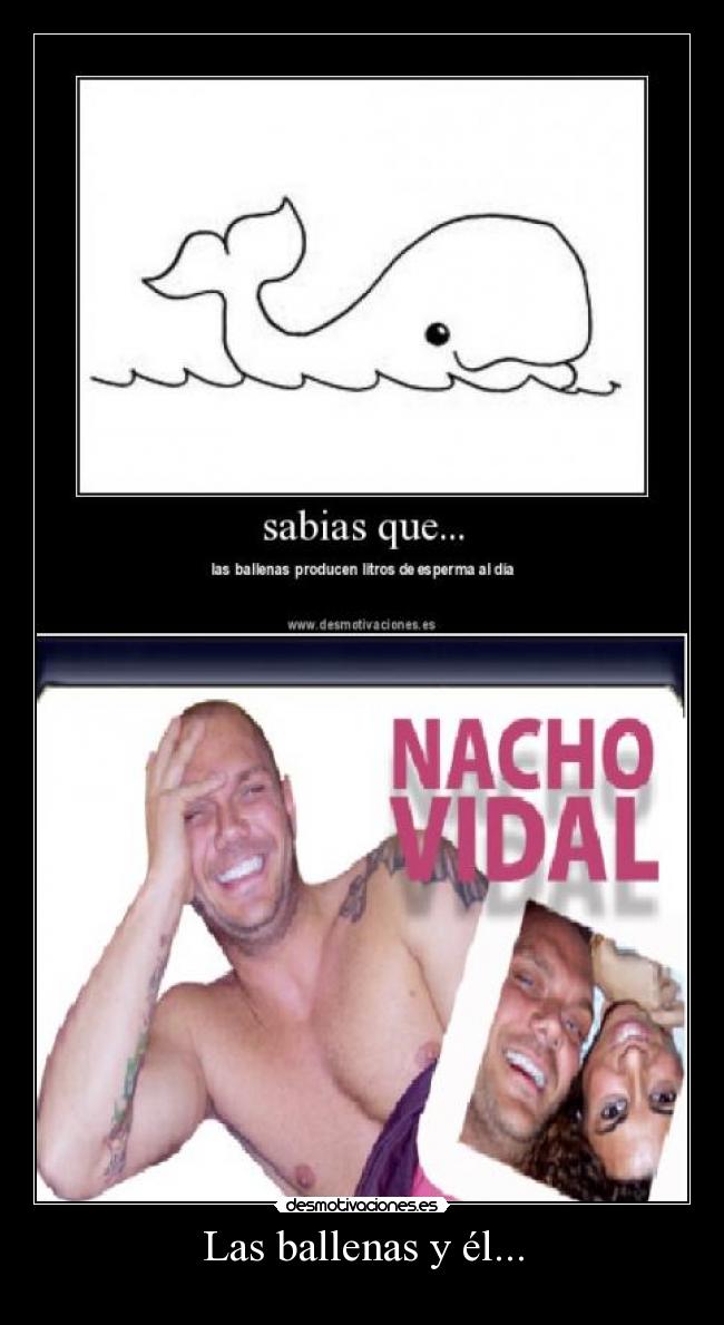 Las ballenas y él... -