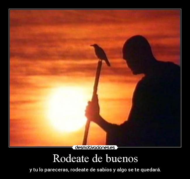 carteles sabio rodeate buenos desmotivaciones