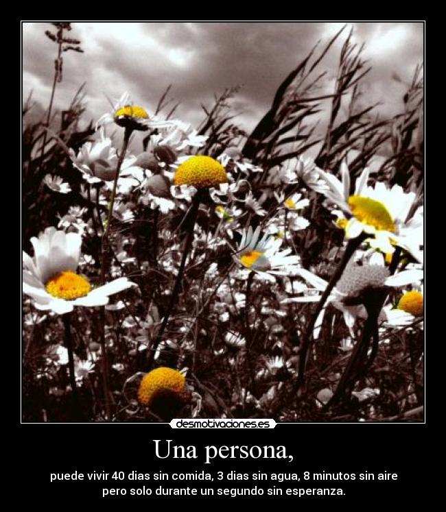 Una persona, - puede vivir 40 dias sin comida, 3 dias sin agua, 8 minutos sin aire
pero solo durante un segundo sin esperanza.