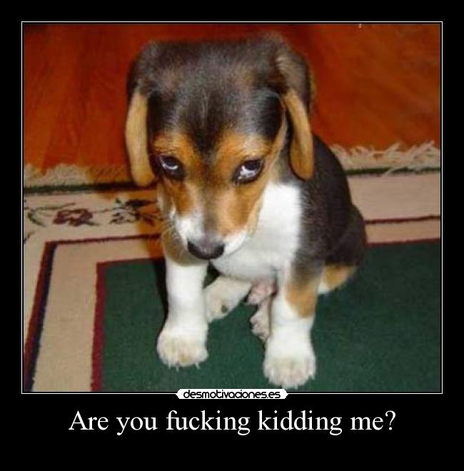 Are you fucking kidding me? -