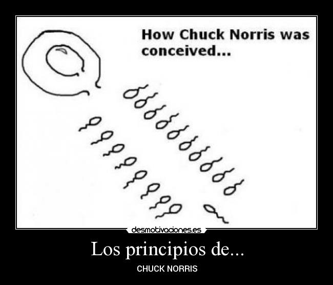 carteles demso desmotivaciones