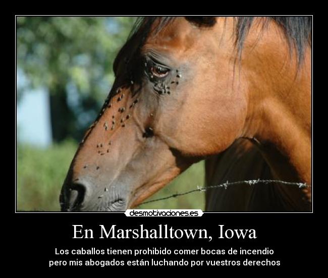 En Marshalltown, Iowa - 