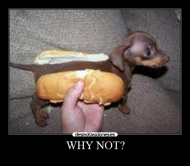 WHY NOT? -