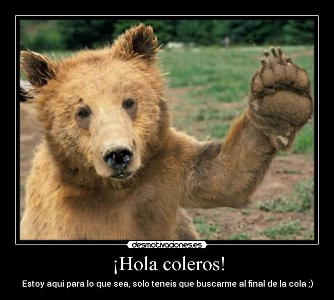 ¡Hola coleros! - 