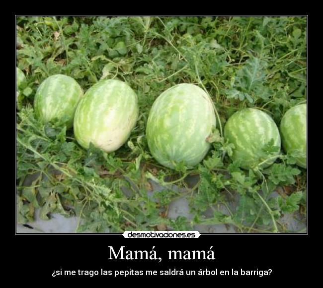 Mamá, mamá - ¿si me trago las pepitas me saldrá un árbol en la barriga?