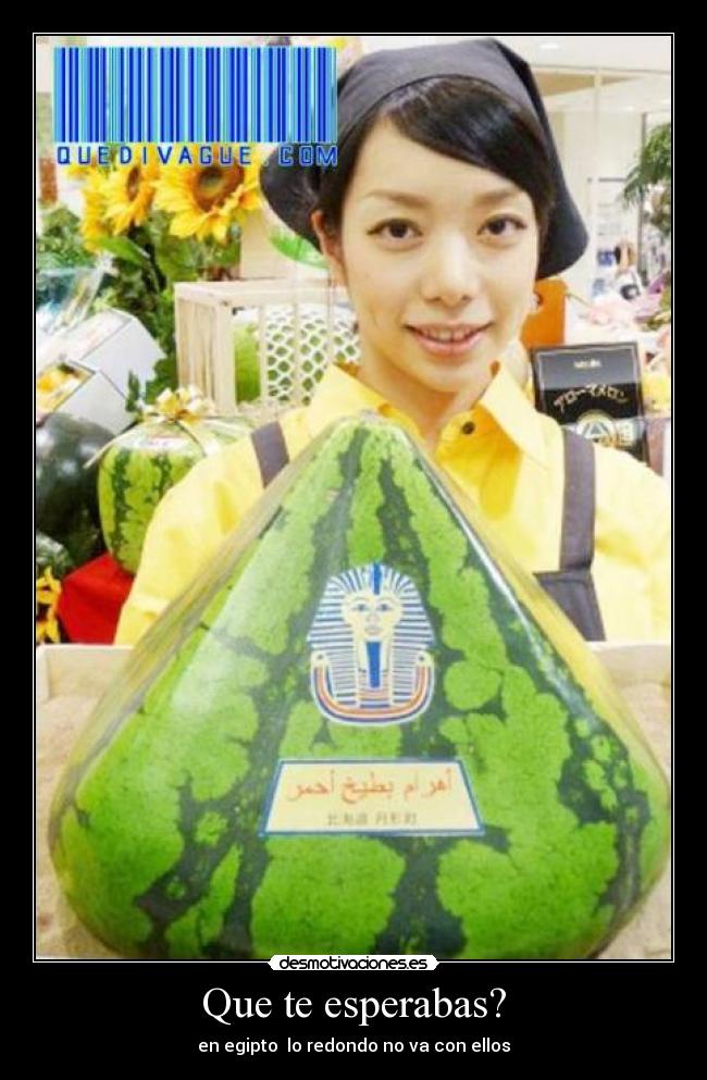 carteles que cosas desmotivaciones