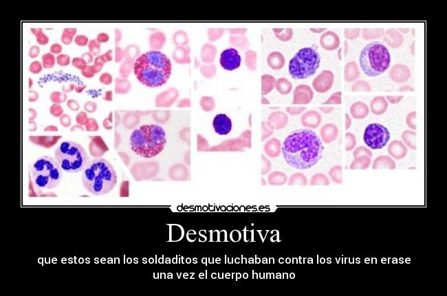 Desmotiva - que estos sean los soldaditos que luchaban contra los virus en erase
una vez el cuerpo humano